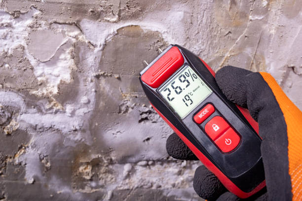 Best Kitchen Mold Remediation in Williamstown, WV